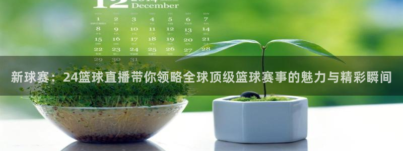 新球赛：24篮球直播带你领略全球顶级篮球赛事的魅力与精彩瞬间